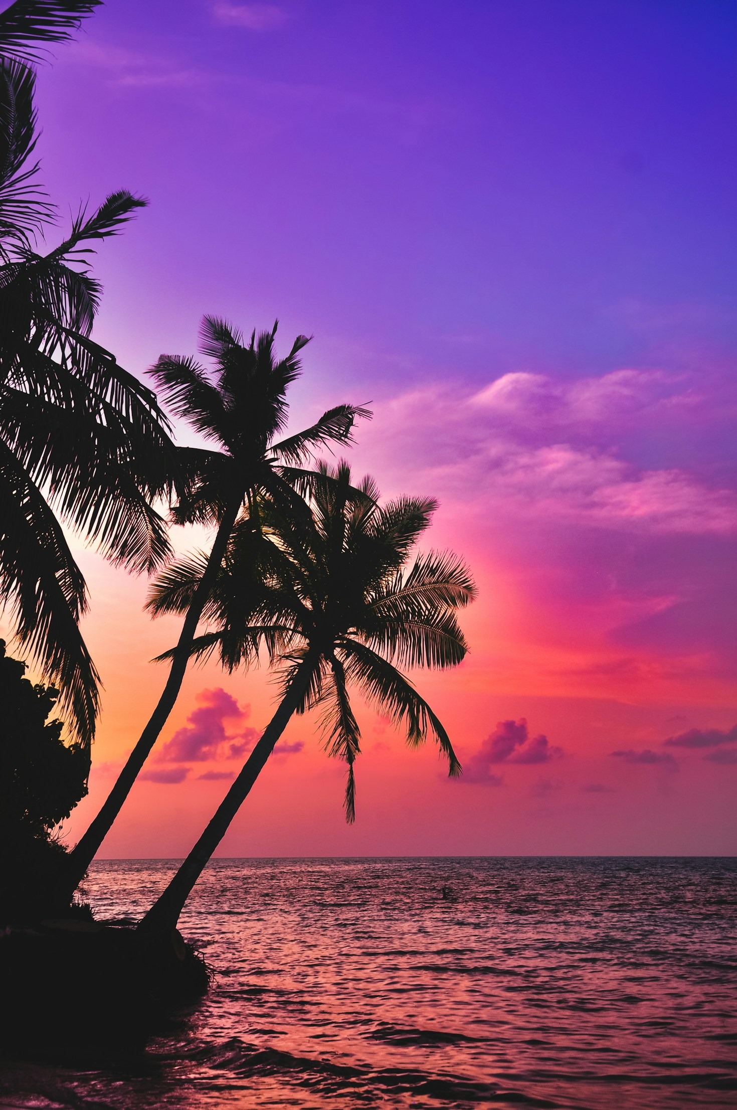 Top Hawaiian Dishes You Need to Try