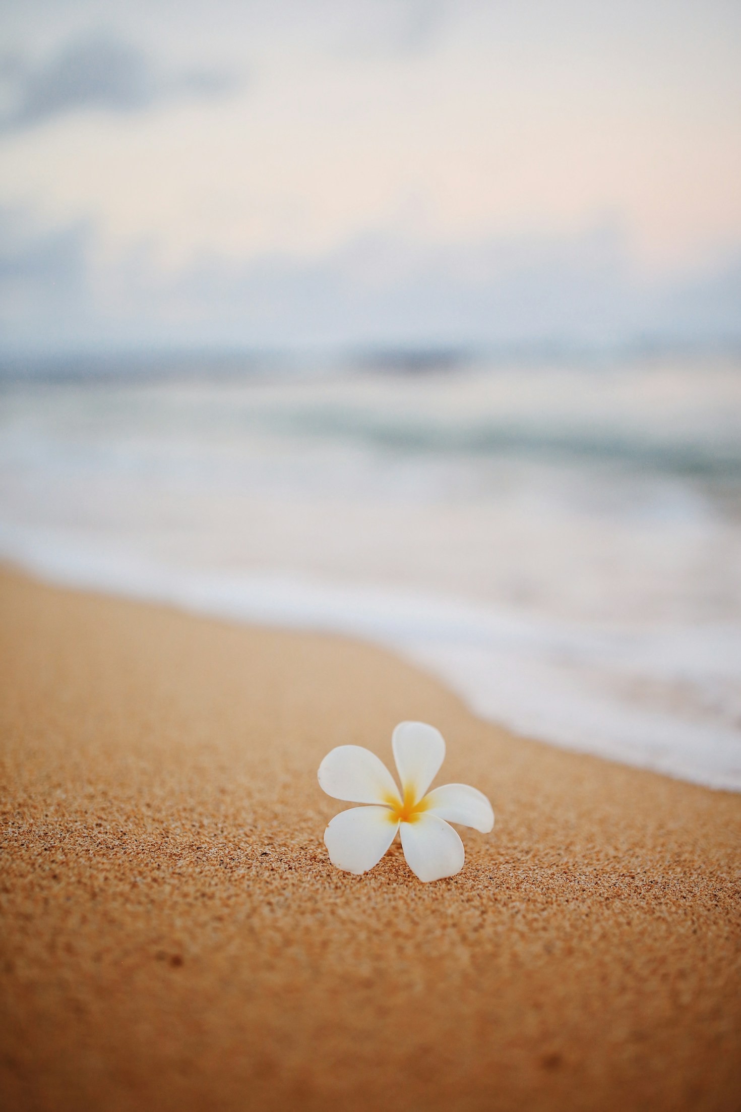 Planning a Family Adventure in Hawaii